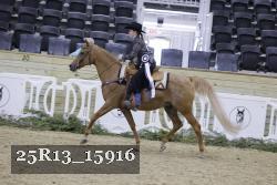 25R13_15916 thumbnail