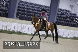 25R13_15929 thumbnail