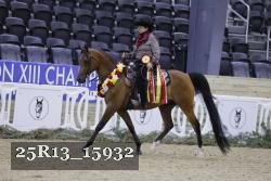 25R13_15932 thumbnail