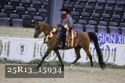 25R13_15934 thumbnail