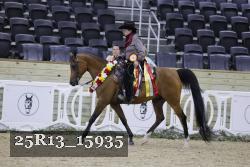 25R13_15935 thumbnail
