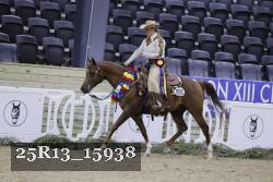 25R13_15938 thumbnail