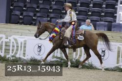 25R13_15943 thumbnail