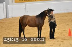 25R15_16_00011 thumbnail