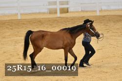 25R15_16_00019 thumbnail