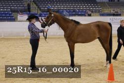 25R15_16_00020 thumbnail