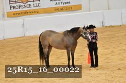 25R15_16_00022 thumbnail