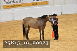 25R15_16_00023 thumbnail