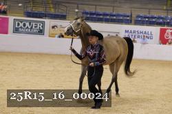 25R15_16_00024 thumbnail