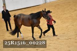 25R1516_00228 thumbnail