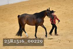 25R1516_00229 thumbnail
