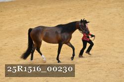 25R1516_00230 thumbnail