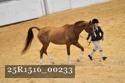 25R1516_00233 thumbnail
