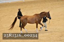 25R1516_00234 thumbnail