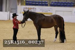 25R1516_00237 thumbnail