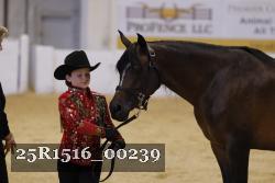 25R1516_00239 thumbnail