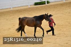25R1516_00240 thumbnail