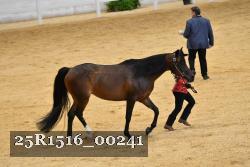 25R1516_00241 thumbnail