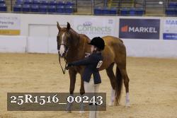 25R1516_00243 thumbnail