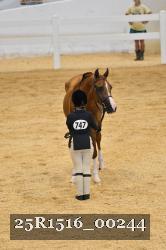 25R1516_00244 thumbnail