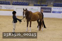 25R1516_00245 thumbnail