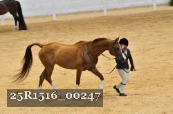 25R1516_00247 thumbnail