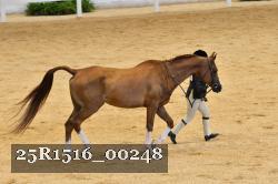 25R1516_00248 thumbnail