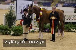 25R1516_00250 thumbnail