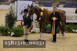 25R1516_00251 thumbnail