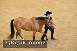 25R1516_00002 thumbnail