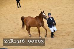 25R1516_00003 thumbnail