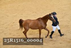 25R1516_00004 thumbnail