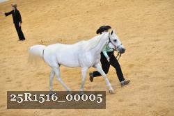 25R1516_00005 thumbnail
