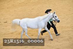 25R1516_00006 thumbnail