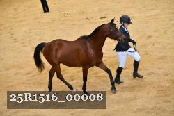 25R1516_00008 thumbnail
