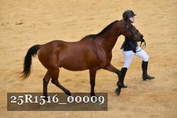 25R1516_00009 thumbnail