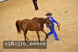 25R1516_00010 thumbnail