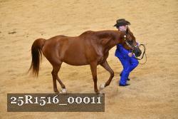 25R1516_00011 thumbnail