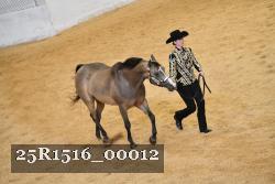25R1516_00012 thumbnail