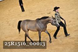 25R1516_00013 thumbnail