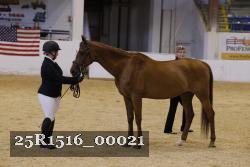 25R1516_00021 thumbnail