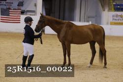 25R1516_00022 thumbnail