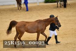 25R1516_00023 thumbnail