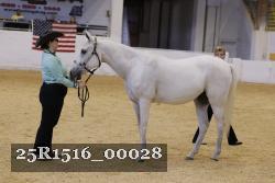 25R1516_00028 thumbnail