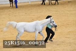 25R1516_00032 thumbnail