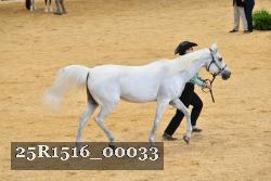 25R1516_00033 thumbnail