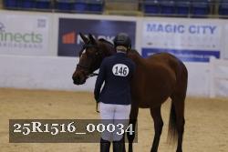 25R1516_00034 thumbnail