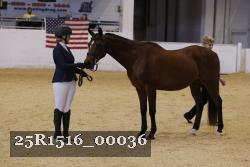 25R1516_00036 thumbnail