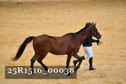 25R1516_00038 thumbnail