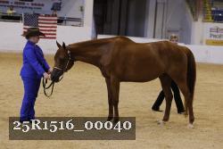 25R1516_00040 thumbnail